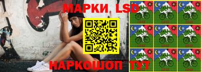 дмт Пенза